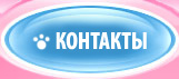 Контакты