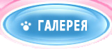 Галерея